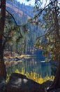 Payette River, Fall Colors, Pine Trees, Hills, Reflections, Yellow Grasses, Idaho, Vertical Royalty Free Stock Photo