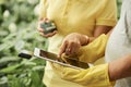 Paying for flower in greenhouse Royalty Free Stock Photo