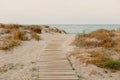 Payment Management Wooden path over the sand of the beach dunes Royalty Free Stock Photo