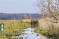 Paynes Prairie Preserve State Park With Wild Horses And Blue Heron In The Distance Royalty Free Stock Photo