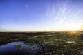 Paynes Prairie State Park at Sunset in Gainesville