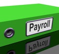 Payroll File Contains Employee Timesheet Records
