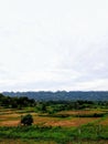 Payudan Cave Madura Island looks beautiful even after the rain