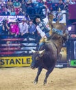 PBR bull riding world finals Royalty Free Stock Photo