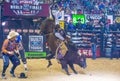 PBR bull riding world finals Royalty Free Stock Photo