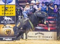 PBR bull riding world finals Royalty Free Stock Photo