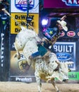 PBR bull riding world finals Royalty Free Stock Photo