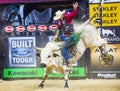 PBR bull riding world finals Royalty Free Stock Photo