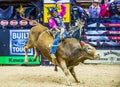 PBR bull riding world finals Royalty Free Stock Photo