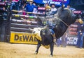 PBR bull riding world finals