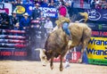 PBR bull riding world finals Royalty Free Stock Photo