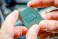 PC central processor chip in the hands of a technician. Selected focus, close-up. PC assembly and upgrade concept Royalty Free Stock Photo