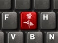 PC keyboard with flower key Royalty Free Stock Photo