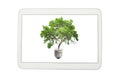 Pc tablet and green tree in bulb isolated Royalty Free Stock Photo