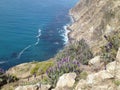 Pch shoreline