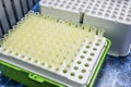 PCR container hotplate with array of test tubes containing sampled DNA for polymerase Royalty Free Stock Photo
