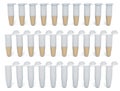 PCR tubes attached lids. Opened lids, closed and PCR tubes lids with samples. 3D rendering Royalty Free Stock Photo