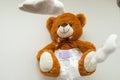 Teddy bear and diapers Royalty Free Stock Photo