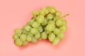 Pe green delicious grapes on a pink background
