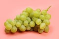 Pe green delicious grapes on a pink background