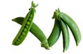 Pea Royalty Free Stock Photo