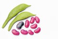 close up of seeds of pea bean with different varieties. Royalty Free Stock Photo