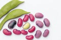 Close up of seeds of pea bean with different varieties. Royalty Free Stock Photo