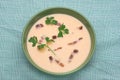Pea Cream Soup with Grilled Bacon Royalty Free Stock Photo