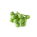 Pea Eggplants or turkey berry isolated over white background