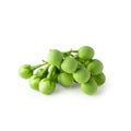 Pea Eggplants or turkey berry isolated over white background Royalty Free Stock Photo