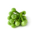 Pea Eggplants or turkey berry isolated over white background Royalty Free Stock Photo