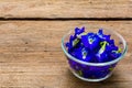 Pea flowers placed in a glass bowl Royalty Free Stock Photo