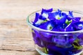 Pea flowers placed in a glass bowl Royalty Free Stock Photo