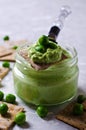 Pea green dip Royalty Free Stock Photo