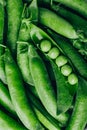 Pea. Green peas pod background Royalty Free Stock Photo