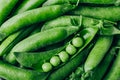 Pea. Green peas pod background Royalty Free Stock Photo