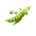 Pea isolated on white. Small spherical seed or seed-pod Pisum sativum. Pod contains several peas. Digital art illustration.