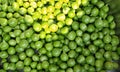 Pea, peas.Green peas.Peas, pea. Royalty Free Stock Photo