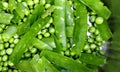 Pea, peas.Green peas.Peas, pea. Royalty Free Stock Photo