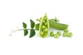 Pea pod with green leaves isolated over white Royalty Free Stock Photo