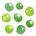 Pea pod. Hand drawn watercolor painting on white background, vector illustration. Royalty Free Stock Photo