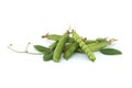 Pea pod is open and green peas inside over white background Royalty Free Stock Photo