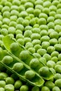 pea pod with peas Royalty Free Stock Photo