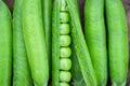 Pea pods macro Royalty Free Stock Photo