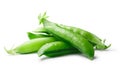 Pea pods Pisum Sativum, paths