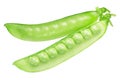 Pea pods pisum sativum, top