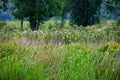 Pea Ridge National Military Park