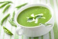 Pea soup with mint Royalty Free Stock Photo