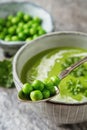 Pea soup puree in an old plate with parsley decoration. Stone sl Royalty Free Stock Photo