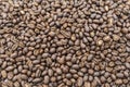 Peaberry Royalty Free Stock Photo